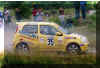Scan Suzuki_(10).jpg (54912 Byte)