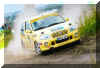 Scan Suzuki_(9).jpg (62182 Byte)