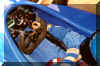 Formel_Koenig_004.jpg (47974 Byte)