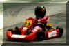 Minikart_6.jpg (14423 Byte)